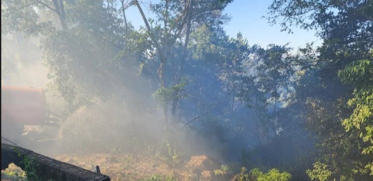 Incêndio no interior de Itapiranga atinge quatro hectares de mata nativa